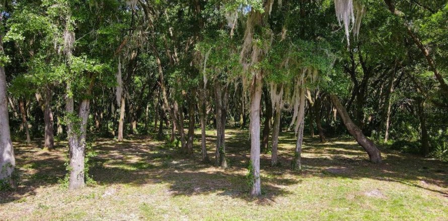 Land in Leesburg, Florida № 1144477
