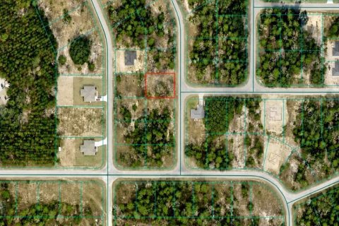Land in Ocklawaha, Florida № 2214914