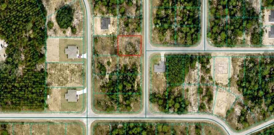 Land in Ocklawaha, Florida № 2214914