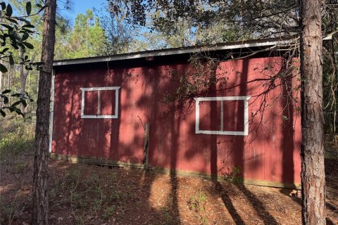Land in Eustis, Florida № 1526258 - photo 8