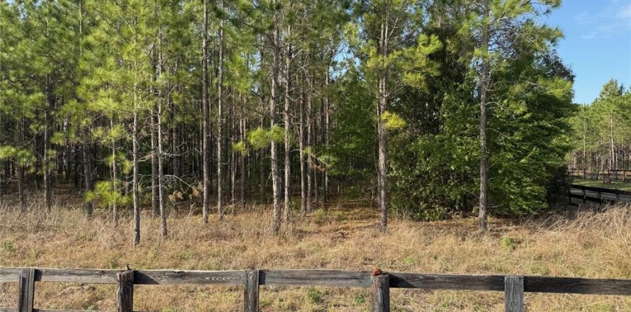 Land in Eustis, Florida № 1526258