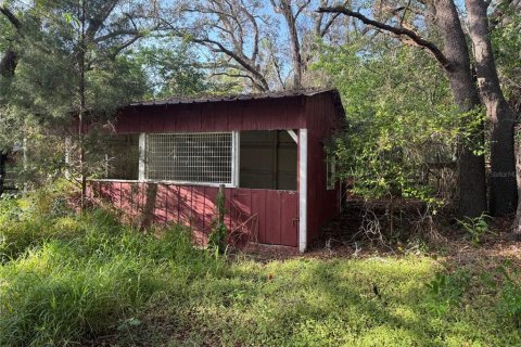 Land in Eustis, Florida № 1526258 - photo 6