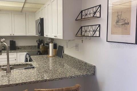 Condominio en alquiler en Port Charlotte, Florida, 1 dormitorio, 58.9 m2 № 1651545 - foto 14