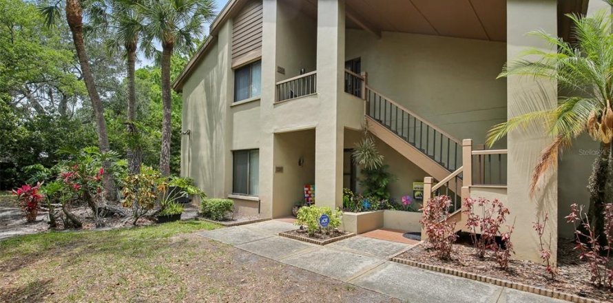 Condo à Palm Harbor, Floride, 3 chambres  № 2096537