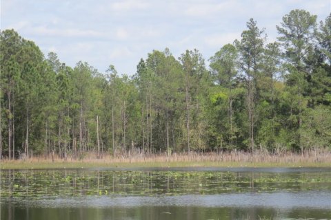 Terreno en venta en Silver Springs Shores, Florida № 1777488 - foto 11