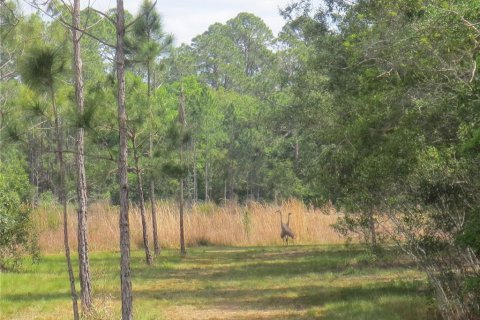 Terreno en venta en Silver Springs Shores, Florida № 1777488 - foto 5
