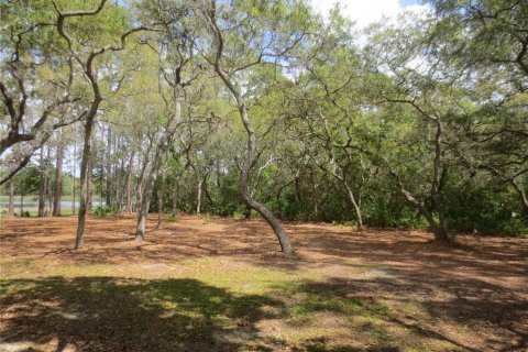 Terreno en venta en Silver Springs Shores, Florida № 1777488 - foto 1