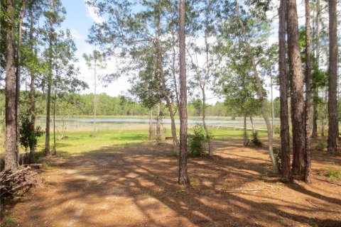 Terreno en venta en Silver Springs Shores, Florida № 1777488 - foto 4