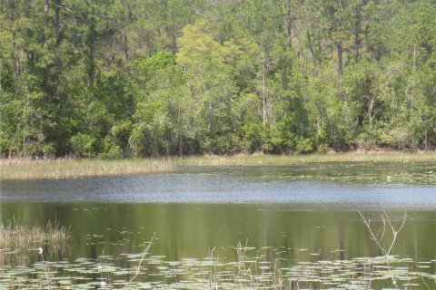 Terreno en venta en Silver Springs Shores, Florida № 1777488 - foto 8