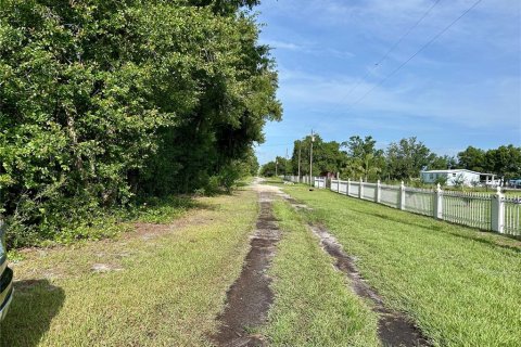 Land in Zolfo Springs, Florida № 1813294 - photo 18