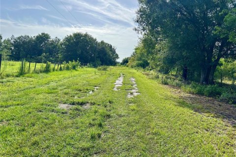 Land in Zolfo Springs, Florida № 1813294 - photo 17