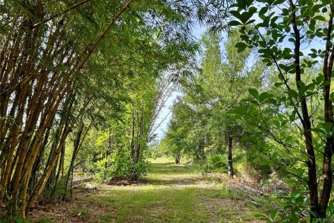 Land in Zolfo Springs, Florida № 1813294 - photo 5