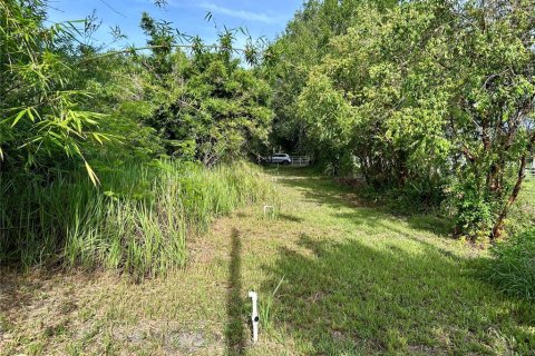 Land in Zolfo Springs, Florida № 1813294 - photo 10