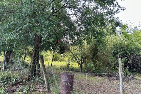 Land in Zolfo Springs, Florida № 1813294 - photo 8