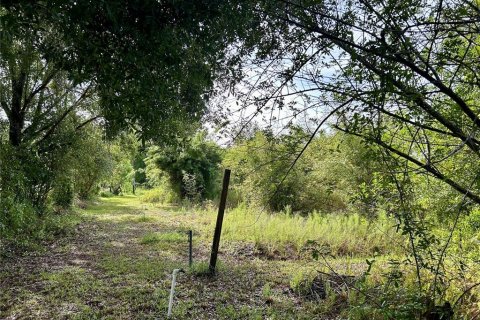 Land in Zolfo Springs, Florida № 1813294 - photo 14