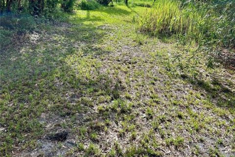 Land in Zolfo Springs, Florida № 1813294 - photo 9