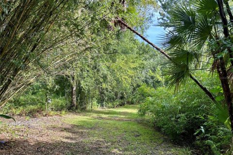 Land in Zolfo Springs, Florida № 1813294 - photo 4