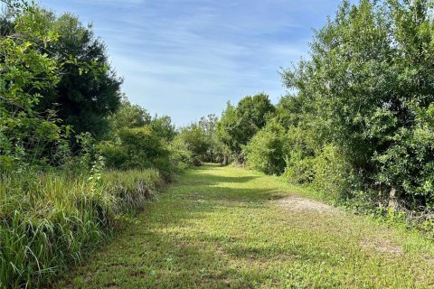 Land in Zolfo Springs, Florida № 1813294 - photo 2