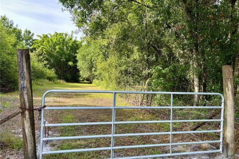Land in Zolfo Springs, Florida № 1813294 - photo 16