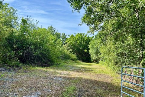 Land in Zolfo Springs, Florida № 1813294 - photo 15