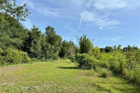 Land in Zolfo Springs, Florida № 1813294 - photo 3