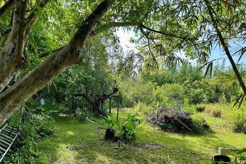 Land in Zolfo Springs, Florida № 1813294 - photo 6