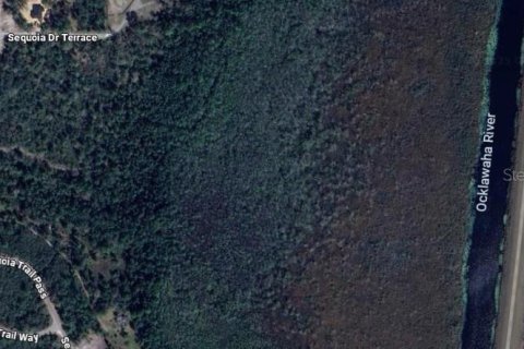 Land in Ocklawaha, Florida № 1915961 - photo 3