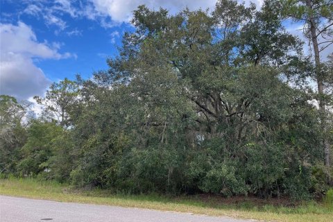 Land in Ocklawaha, Florida № 1915961 - photo 7