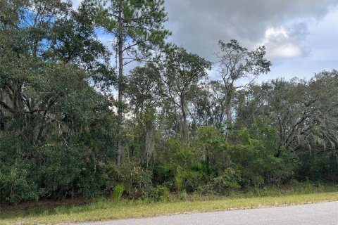 Land in Ocklawaha, Florida № 1915961 - photo 6