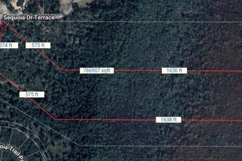 Land in Ocklawaha, Florida № 1915961 - photo 1