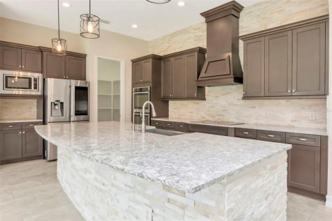 Villa ou maison à vendre à Lutz, Floride: 5 chambres, 464.05 m2 № 1903674 - photo 7
