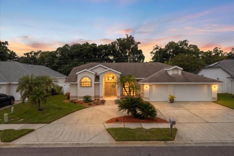 House in Palm Harbor, Florida 4 bedrooms, 204.2 sq.m. № 2396688
