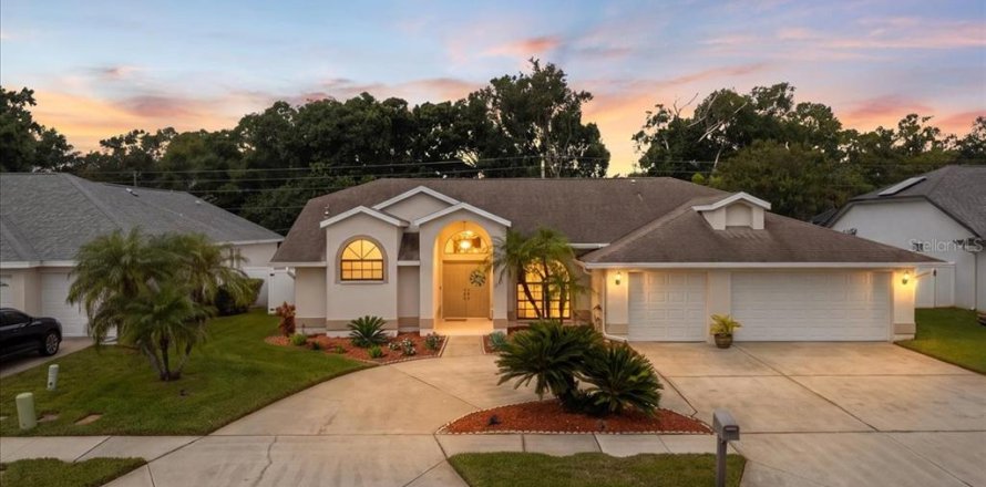 House in Palm Harbor, Florida 4 bedrooms, 204.2 sq.m. № 2396688