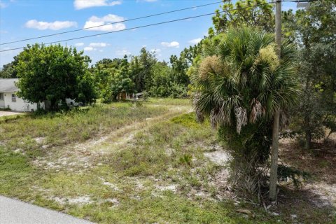 Land in Englewood, Florida № 2161081 - photo 6