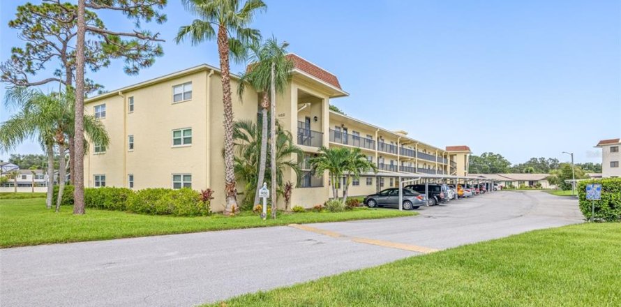 Condominio en Dunedin, Florida, 1 dormitorio № 1854693