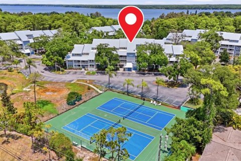 Condo in Palm Harbor, Florida, 2 bedrooms  № 2285211 - photo 28