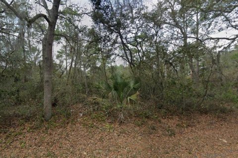 Immobilier commercial à vendre à Deltona, Floride № 2395596 - photo 4