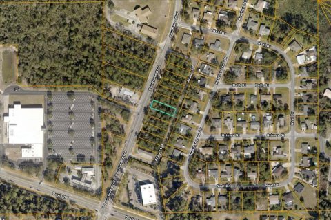 Immobilier commercial à vendre à Deltona, Floride № 2395596 - photo 3
