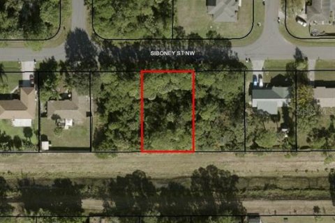 Land in Palm Bay, Florida № 2364017