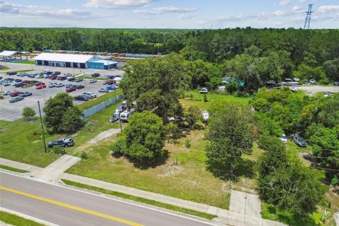 Terreno en venta en Odessa, Florida № 1879753 - foto 7