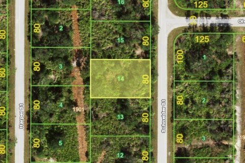 Land in Port Charlotte, Florida № 2162889 - photo 6