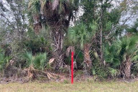 Land in Port Charlotte, Florida № 2162889