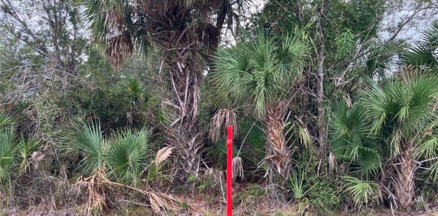 Land in Port Charlotte, Florida № 2162889