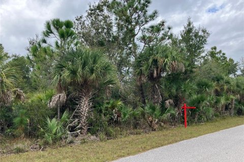 Land in Port Charlotte, Florida № 2162889 - photo 2