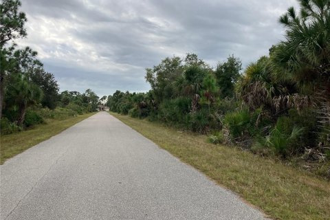 Land in Port Charlotte, Florida № 2162889 - photo 3