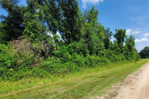 Купить земельный участок в Дженнингс, Флорида № 2226144 - фото 5