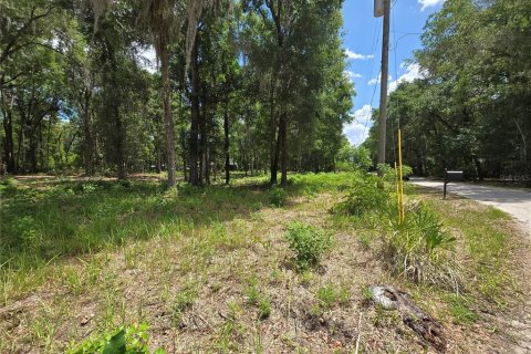 Land in Ocala, Florida № 2166590 - photo 2