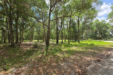 Land in Ocala, Florida № 2166590 - photo 6