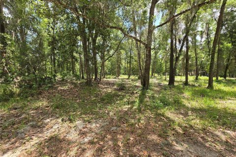 Land in Ocala, Florida № 2166590 - photo 5