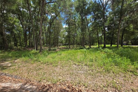 Land in Ocala, Florida № 2166590 - photo 4
